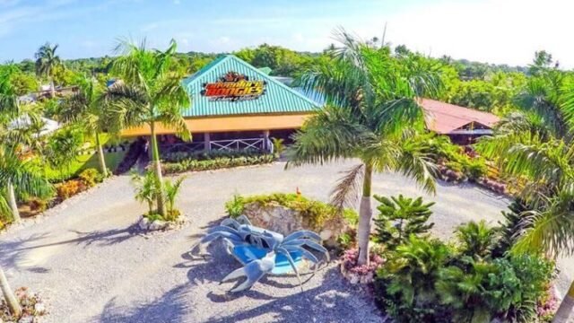 WhatsApp Image 2026-01-14 at 10.19.05