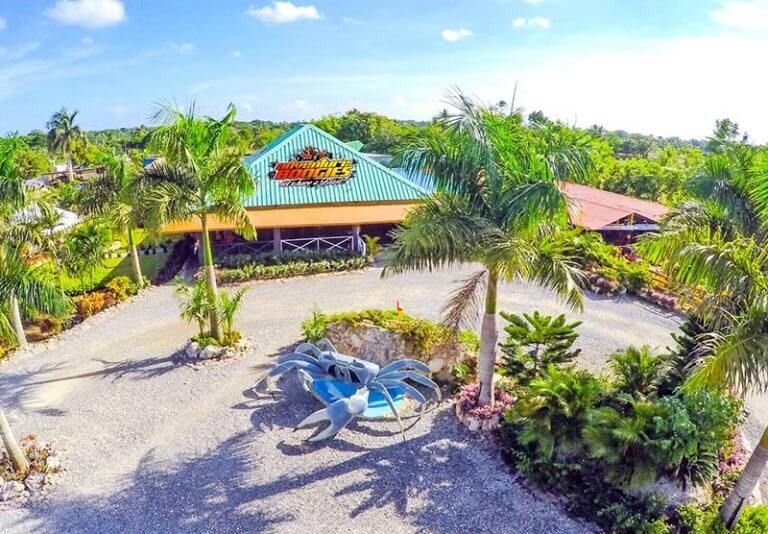 WhatsApp Image 2026-01-14 at 10.19.05