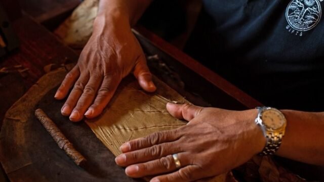 WhatsApp Image 2026-01-20 at 14.52.34