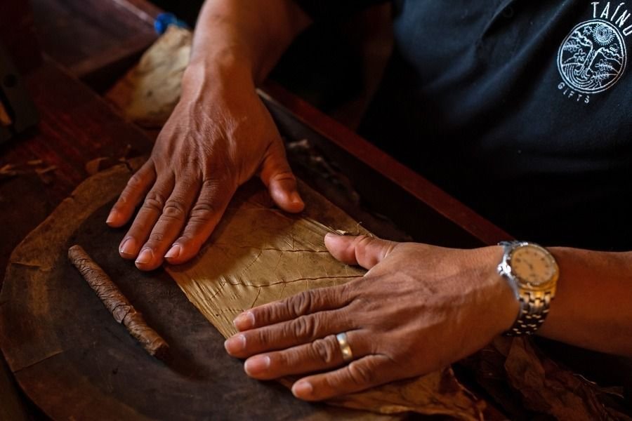 WhatsApp Image 2026-01-20 at 14.52.34