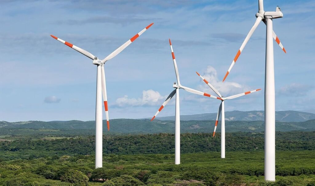 WhatsApp Image 2026-01-24 at 10.37.51