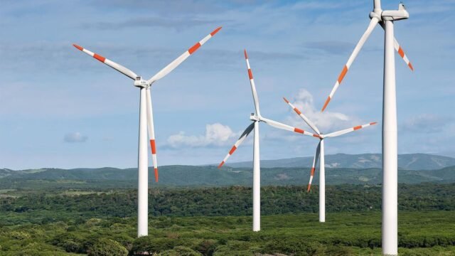 WhatsApp Image 2026-01-24 at 10.37.51