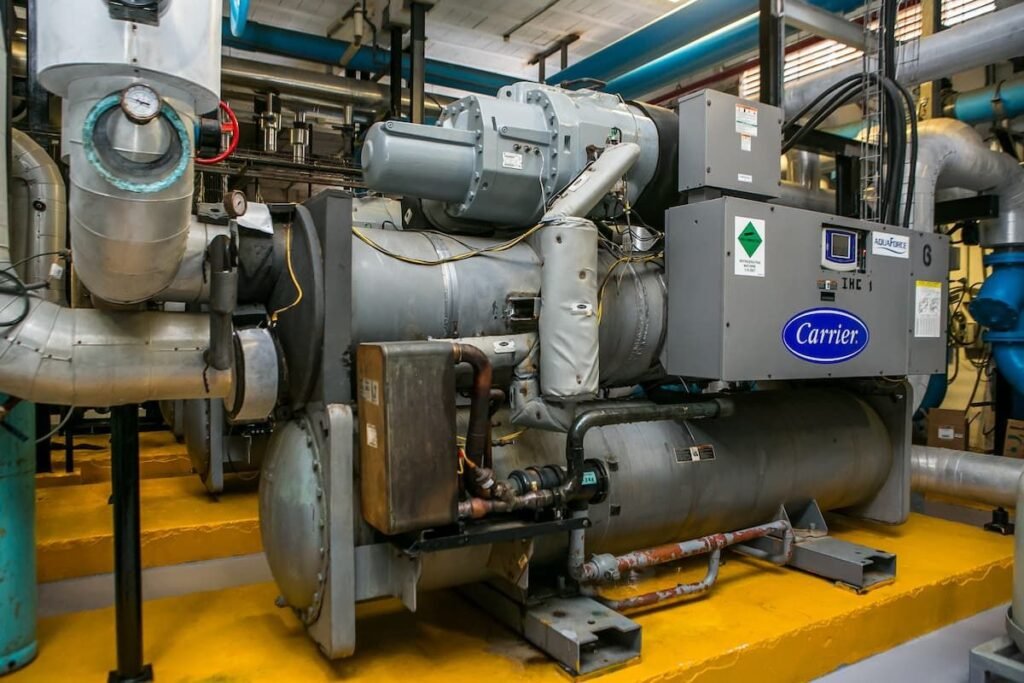 WhatsApp Image 2026-01-29 at 11.46.28