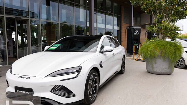 WhatsApp Image 2026-01-29 at 13.46.25