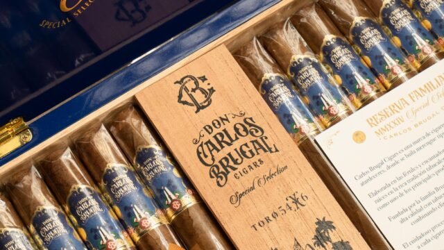 WhatsApp Image 2026-01-29 at 16.03.00 (1)