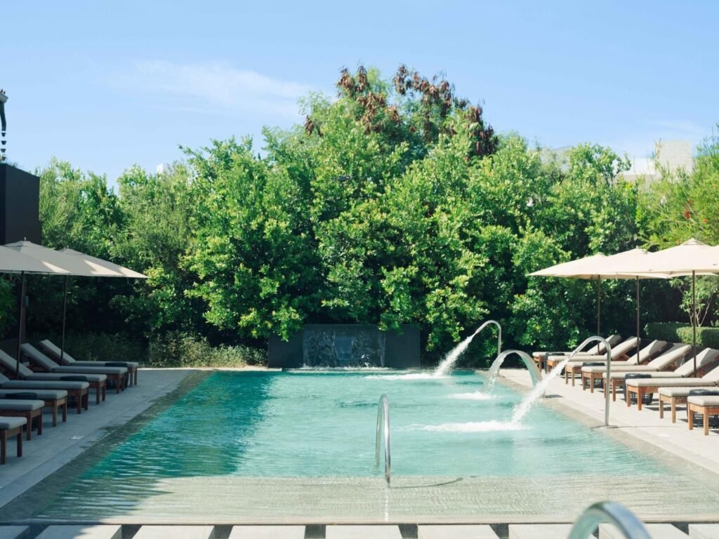 WhatsApp Image 2026-01-29 at 16.04.34 (1)