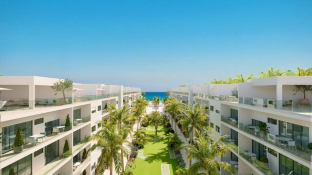 WhatsApp Image 2026-02-12 at 10.42.35 (2)