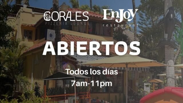 WhatsApp Image 2026-02-28 at 11.46.11