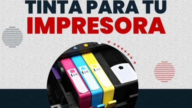 WhatsApp Image 2026-03-03 at 08.22.25